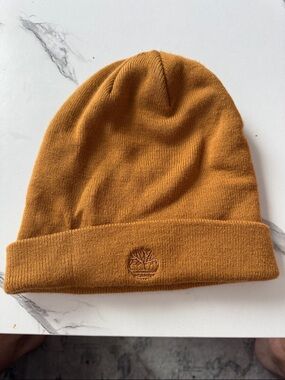 Timberland beanie
